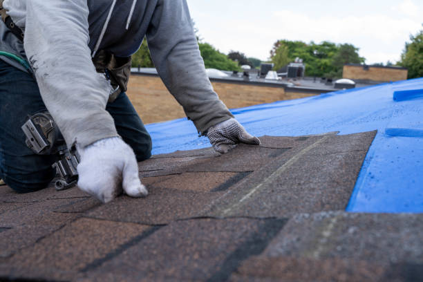 Best Commercial Roofing Services  in Bay Springs, MS