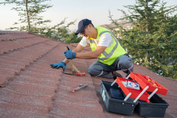 Best Sealant for Roof  in Bay Springs, MS