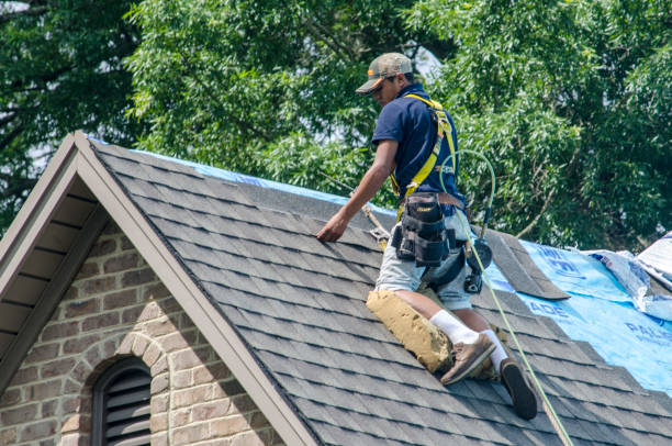 Best Gutter Installation and Roofing  in Bay Springs, MS